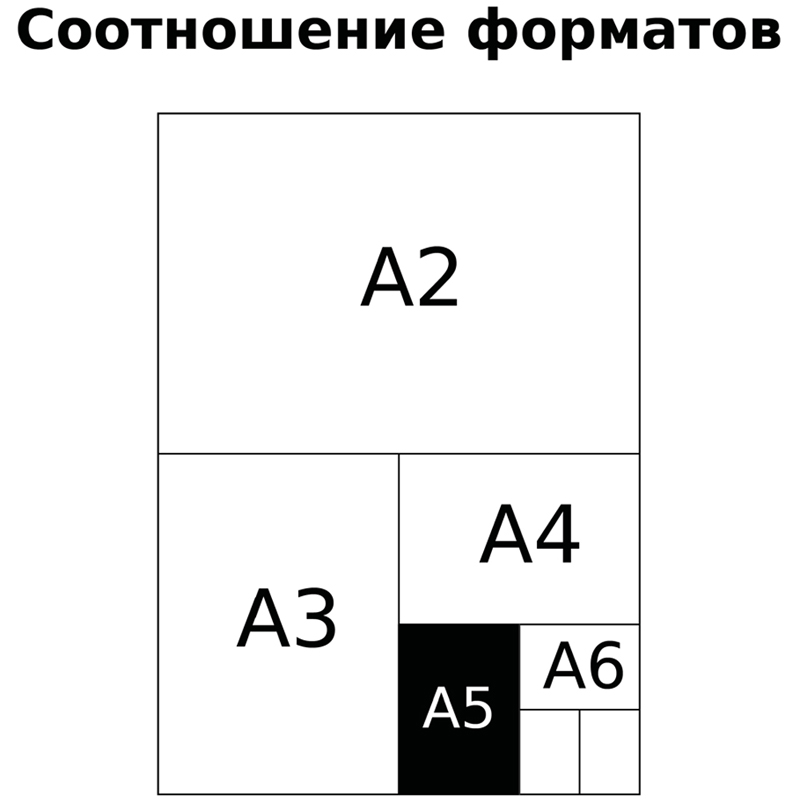 Тетрадь 12л., косая линия BG "Первоклассная", светло-зеленая — изображение 4